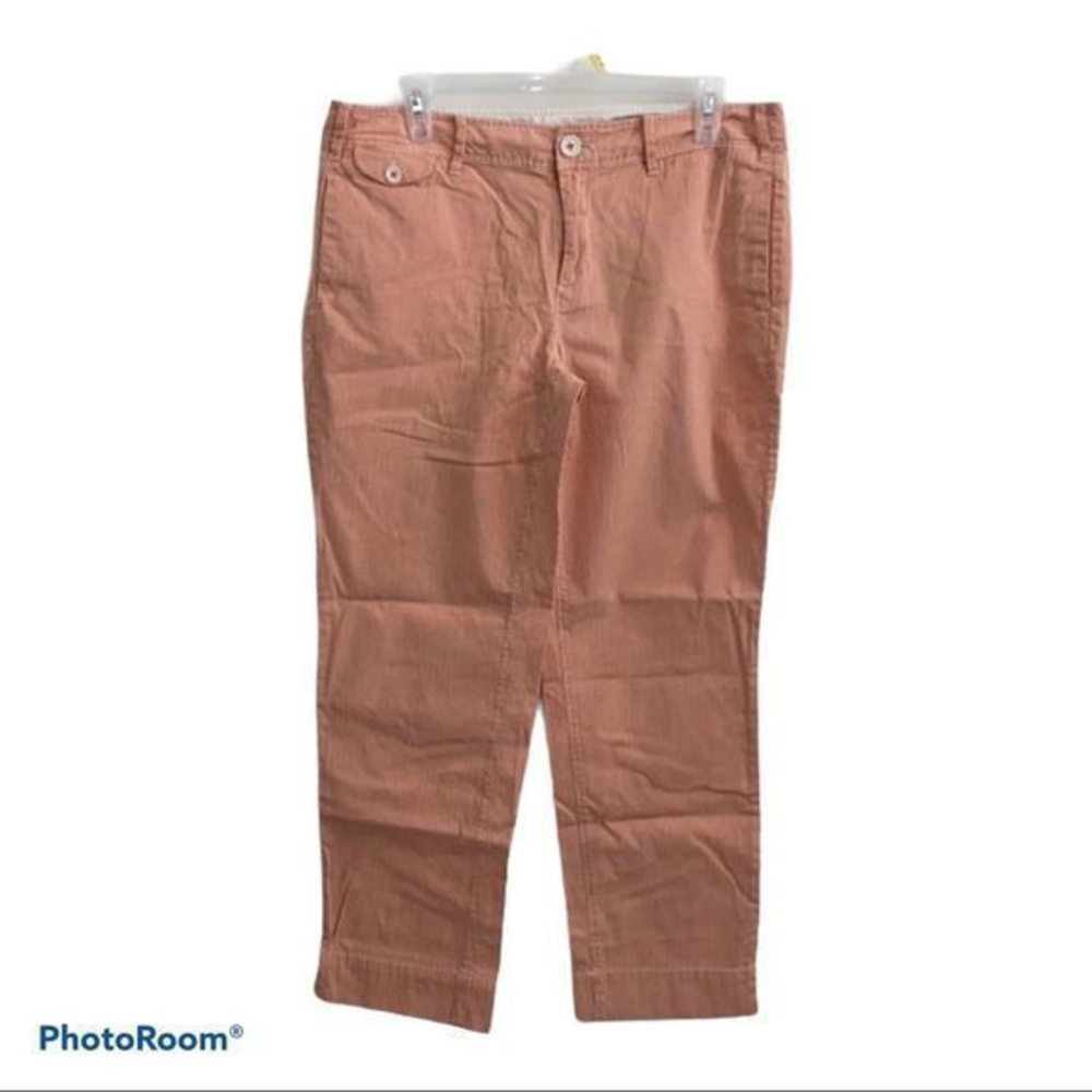 Anthropologie Paper boy pinstriped pants women’s size 10‎